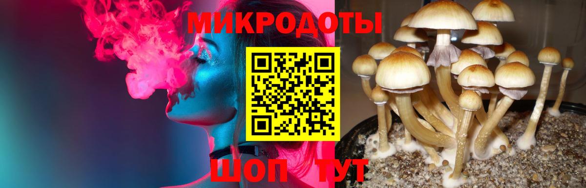 Галлюциногенные грибы MAGIC MUSHROOMS  Псилоцибиновые грибы прущие грибы  Вход с VPN  Чебоксары 