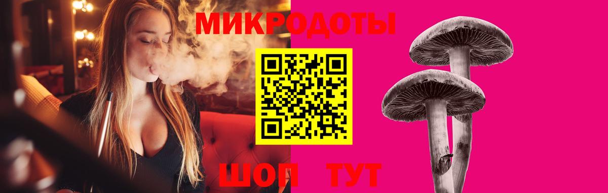 Галлюциногенные грибы Psilocybe Чебоксары